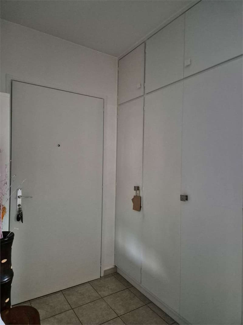 2613_Lopagno_Bright 2.5 rooms with panoramic view. (2)