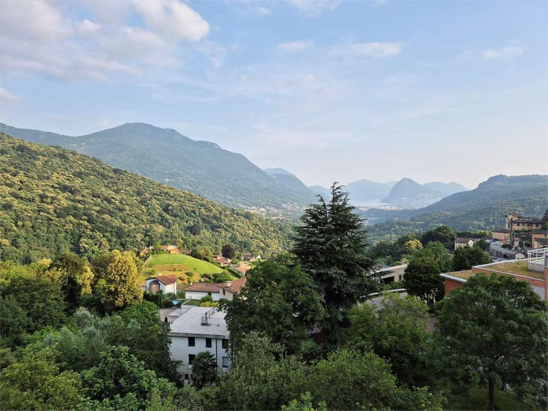 2613_Lopagno_Bright 2.5 rooms with panoramic view. (1)