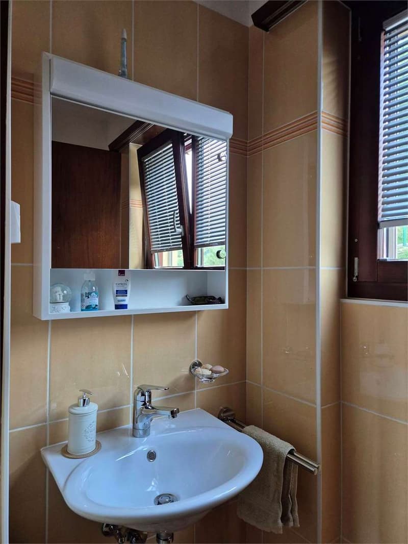 2613_Lopagno_Bright 2.5 rooms with panoramic view. (9)