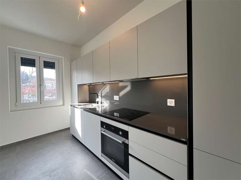 2342: Lugano, app. 3.5 locali ristrutturati (3)