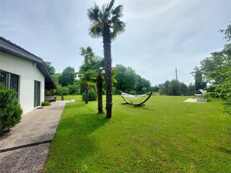 2514_Tremona, wonderful villa surrounded by greenery (12)
