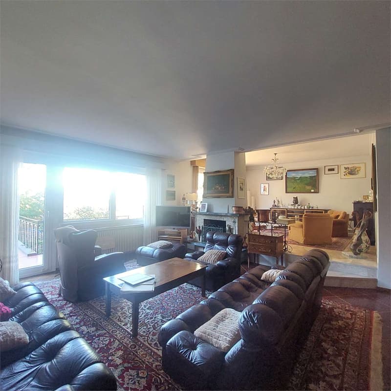 Montagnola, elegant villa with 7.5 rooms and building land (3)