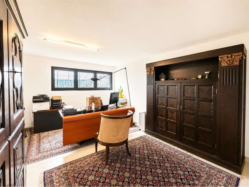 Exclusive Attic with Roof Garden and Panoramic View of Lake Lugano (11)