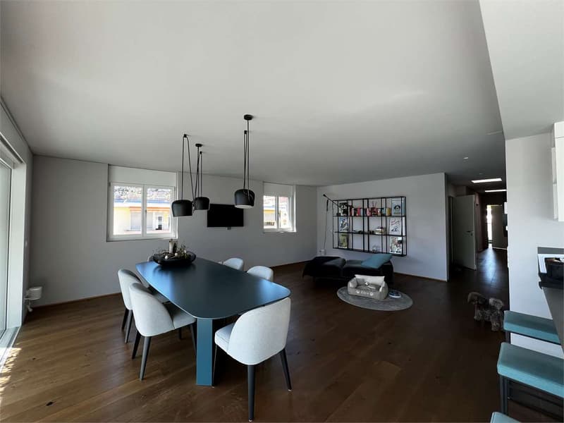 Rif. 2674 Pregassona Exclusive penthouse with direct elevator (5)