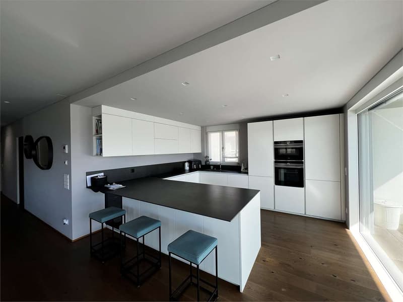 Rif. 2674 Pregassona Exclusive penthouse with direct elevator (4)