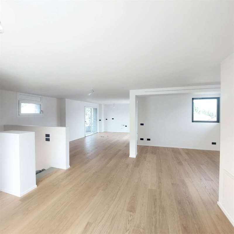 Rif.2680_Gentilino, Duplex attic 3.5 rooms renovated with large terraces (2)