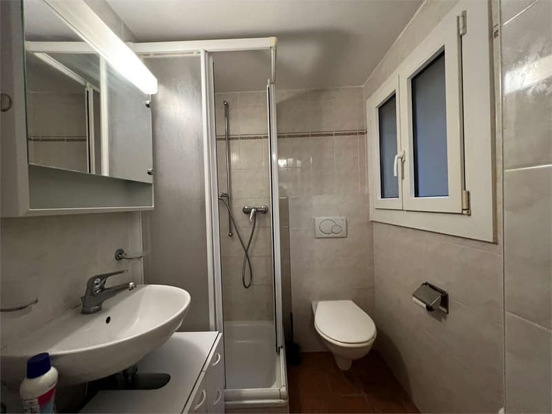 Rif. 2691 Davesco 3.5 Zimmer im Herzen des Ortskerns (7)