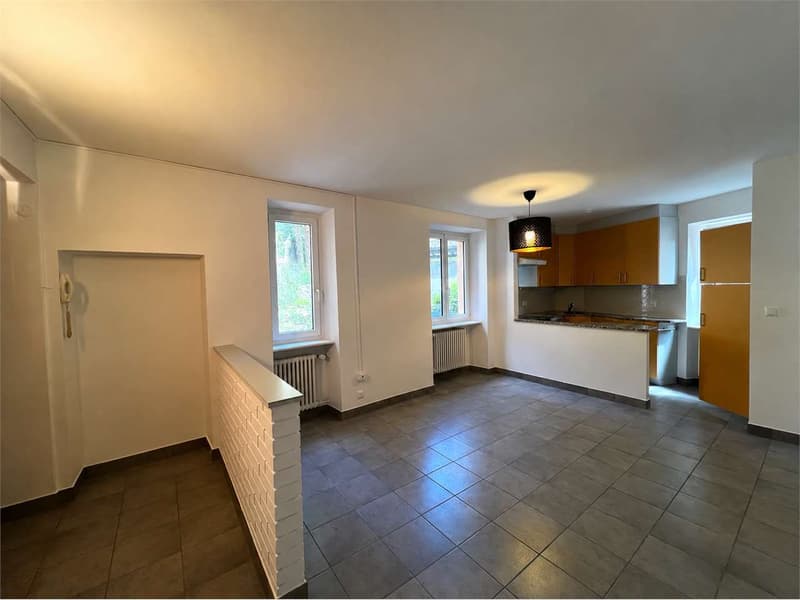 Rif. 2691 Davesco 3.5 Zimmer im Herzen des Ortskerns (2)