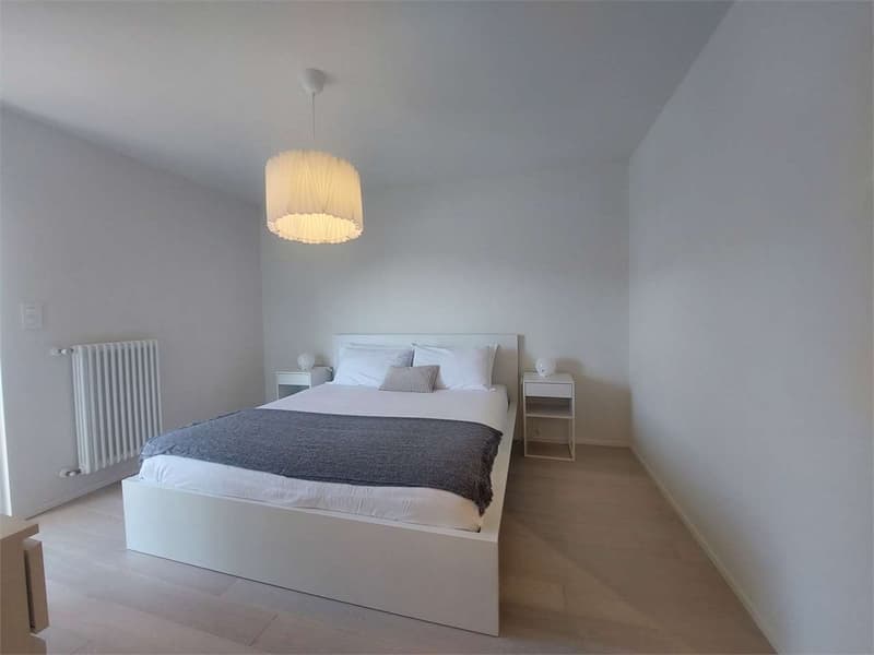 2473_Montagnola, appartement rénové 4.5 pièces avec vue sur le lac (6)