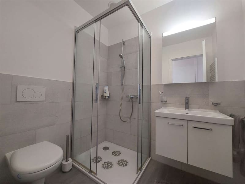 2374_Großes 3.5-Zimmer-Wohnung mit privatem Garten in Barbengo (11)