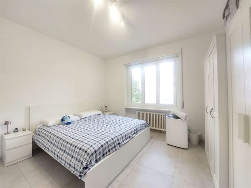 Lugano Center, 4.5-room apartment in strategic position (3)