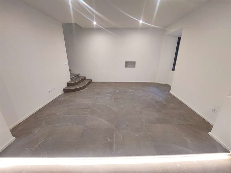 Riva San Vitale, independent house in the center 2575 (3)