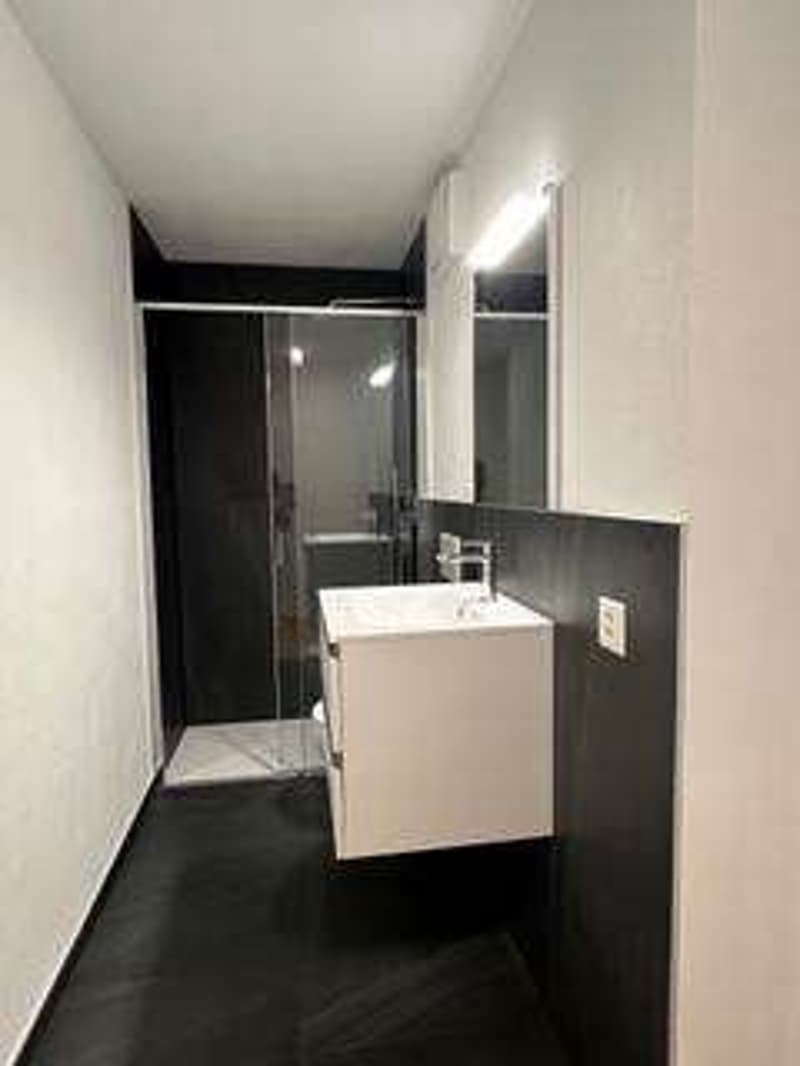 2678_Mendrisio, appartamento 3.5 loc. ristrutturato nel cuore del cent (6)