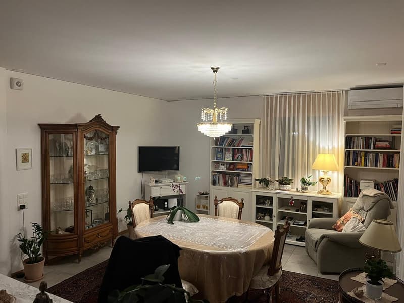Esclusivo Appartamento 4.5 Locali Bellinzona (2)