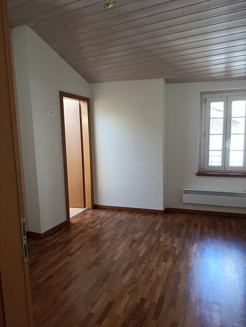 Appartement lumineux 3.5 pièces avec cheminée à Melide (4)