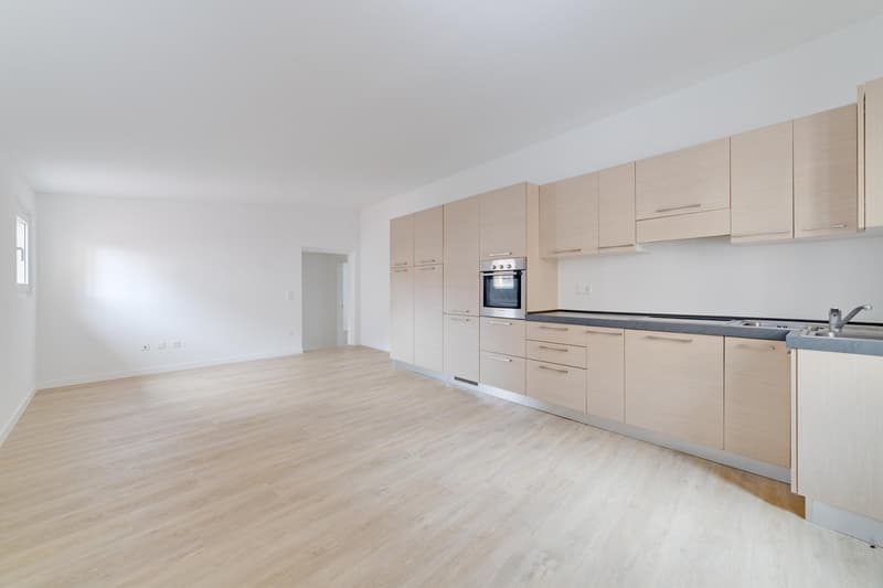 Nucleus de Caslano - appartement 3.5 en location (1)