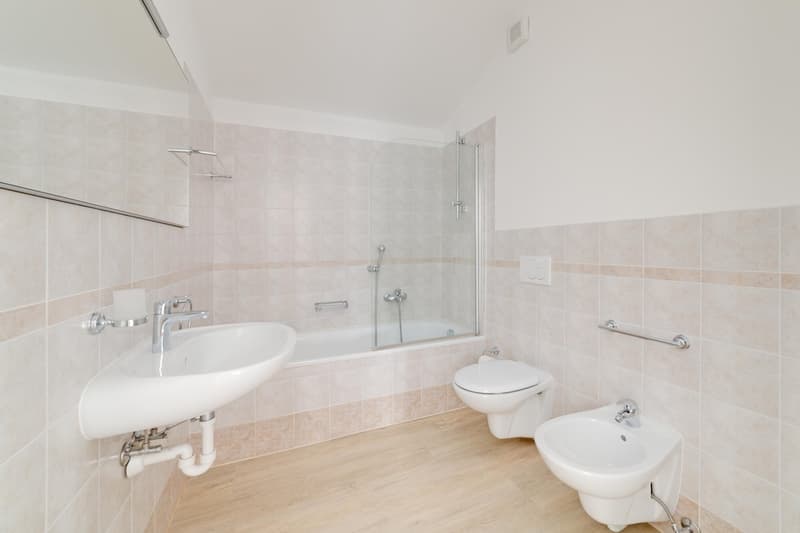 Nucleus de Caslano - appartement 3.5 en location (9)