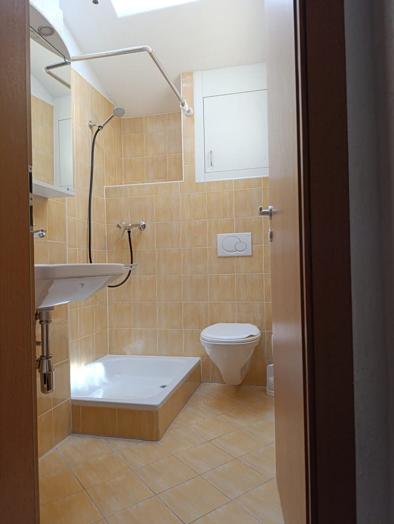 Helles 3.5-Zimmer-Apartment mit Kamin in Melide (6)