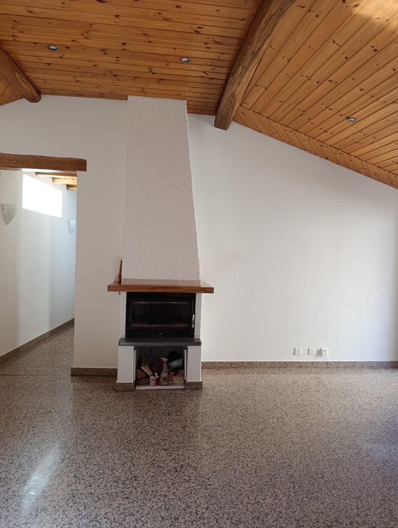 Helles 3.5-Zimmer-Apartment mit Kamin in Melide (3)