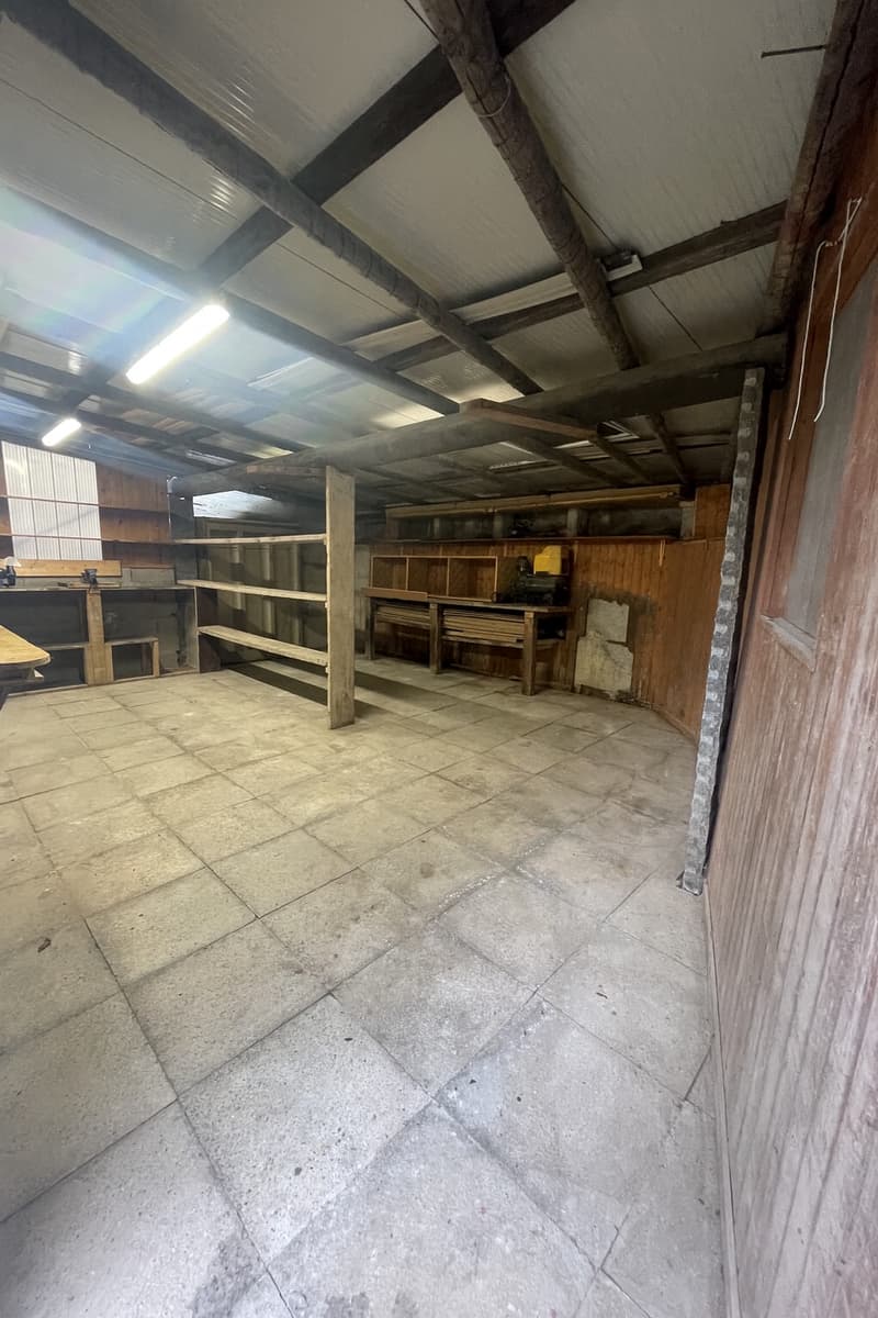 Commercial and storage space in Viganello (1)