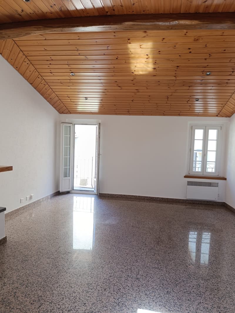 Luminoso appartamento 3.5 locali con camino a Melide (2)