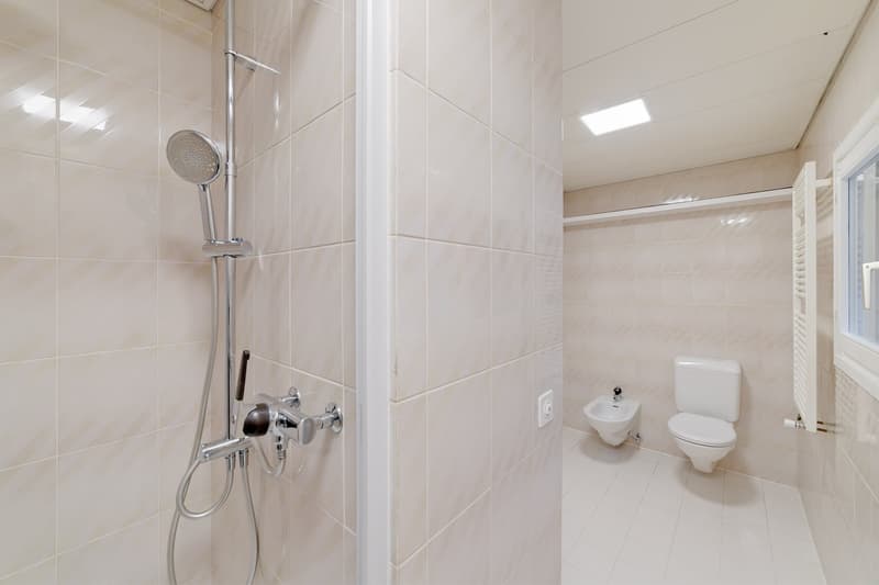 Bellissimo loft ristrutturato di 120 mq a Cadro (9)