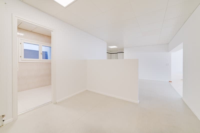 Bellissimo loft ristrutturato di 120 mq a Cadro (2)