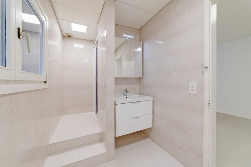 Bellissimo loft ristrutturato di 120 mq a Cadro (8)