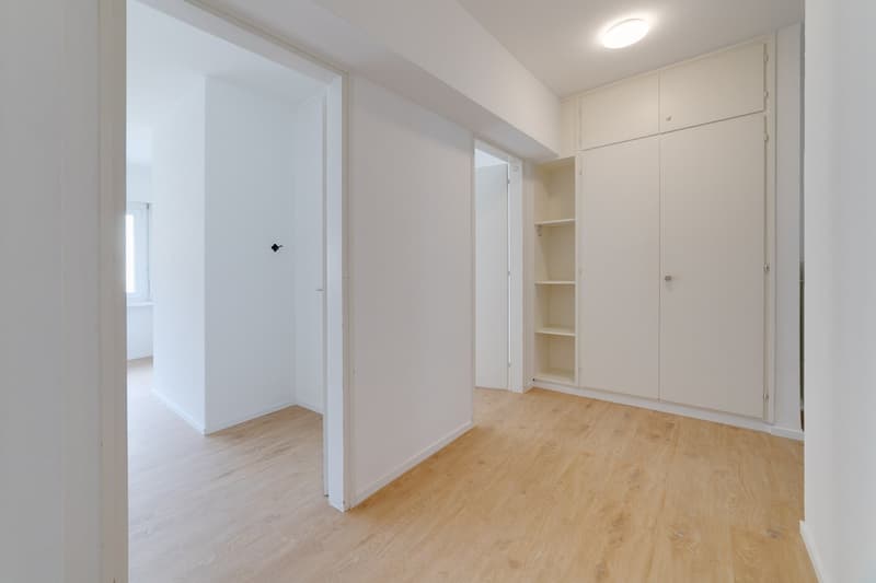 Splendido appartamento ristrutturato di 4.5 locali a Cadro (6)