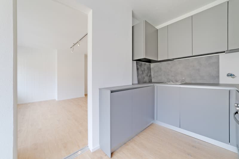 Splendido appartamento ristrutturato di 4.5 locali a Cadro (10)