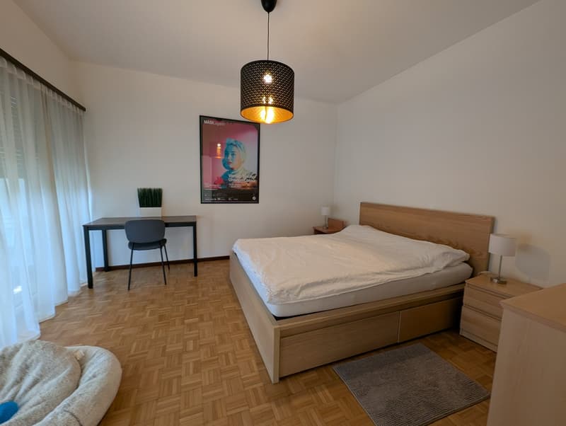 Einladendes 3.5-Zimmer-Apartment mit Terrasse und Garten (6)