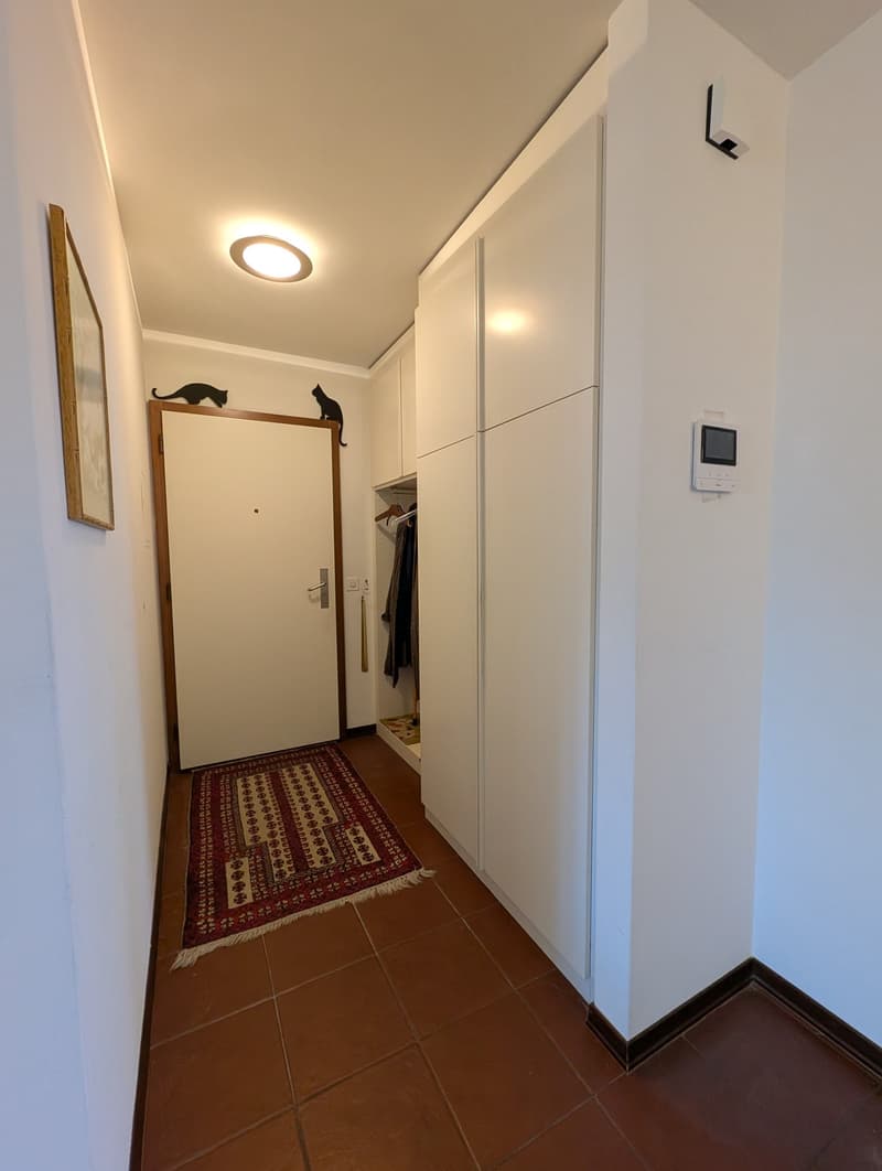 Schönes Apartment mit 4.5 Zimmern, nur wenige Schritte vom See entfernt (12)