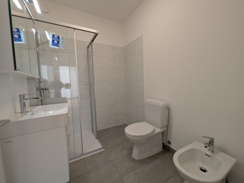 modern bathroom with shower, toilet, sink, and bidet