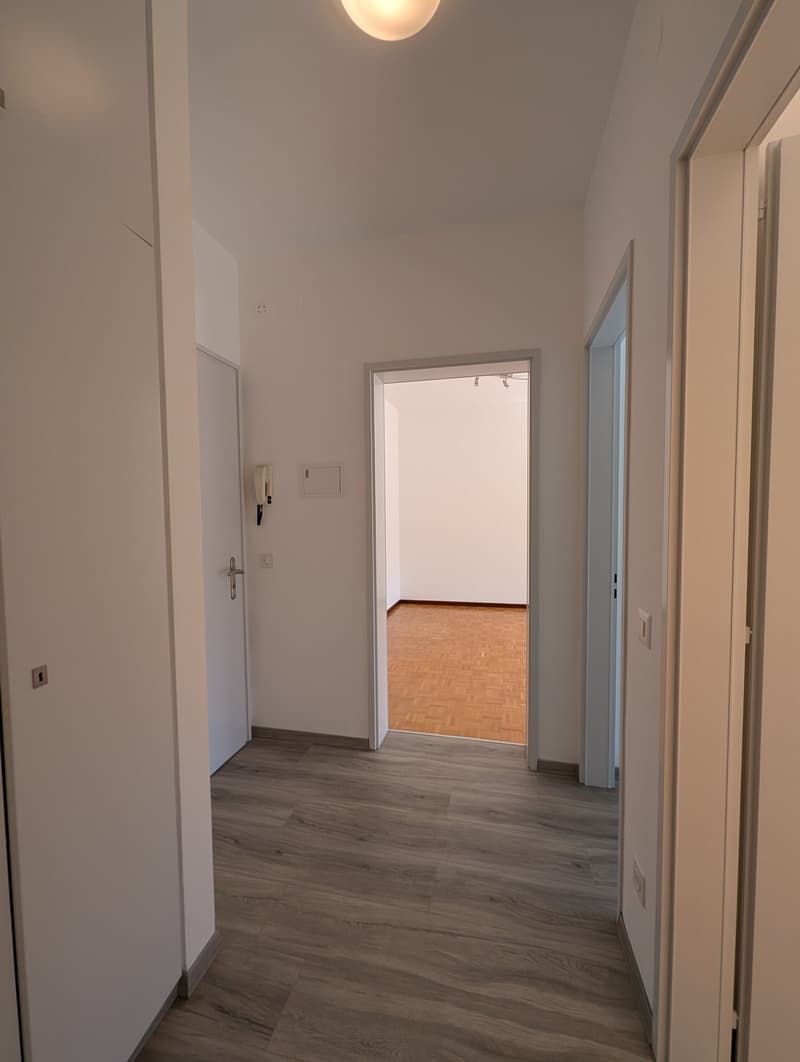 Empty hallway with wooden floor, white walls, and doors leading to other rooms