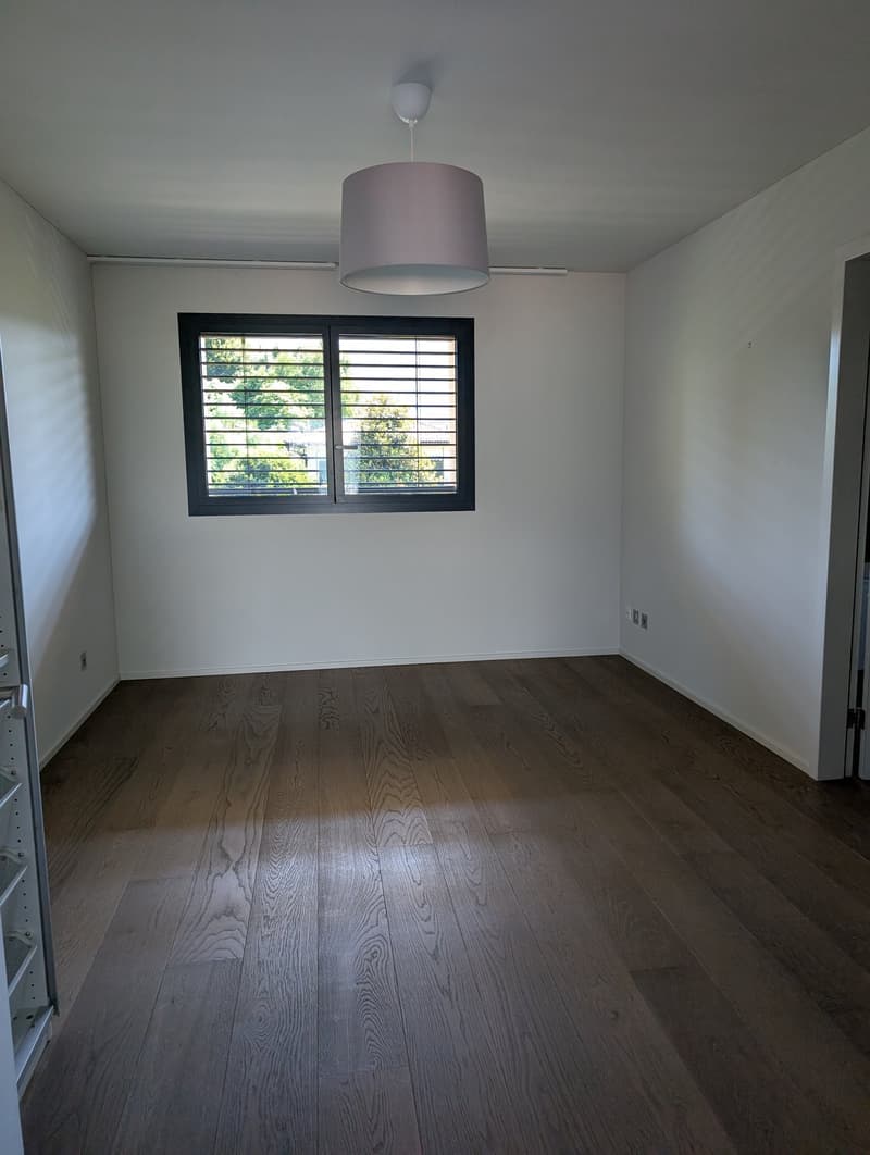 empty room, hardwood floor, white walls, window with blinds, ceiling lamp