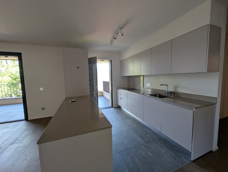 modern kitchen, white cabinets, granite countertops, stainless steel sink, faucet, balcony, sliding glass door, wooden floor