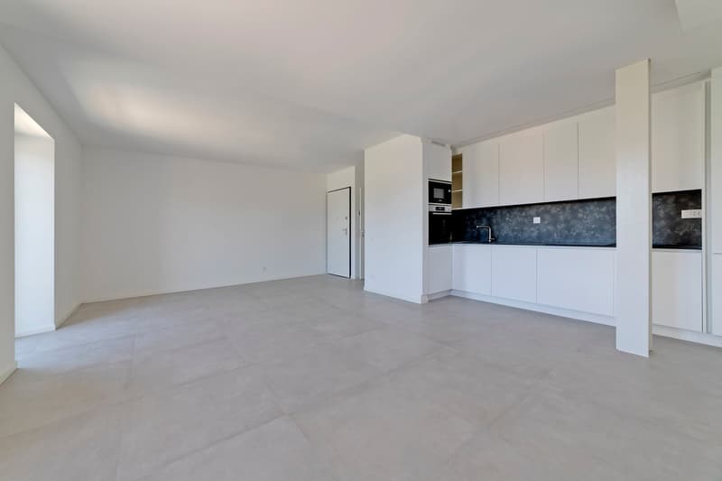 Fantastic, bright and spacious with 75m2 attic (3)