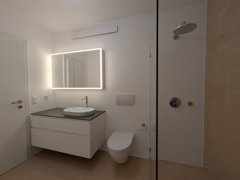 Modernes und elegantes Ferien-Penthouse am See mit Bootsliegeplatz (19)
