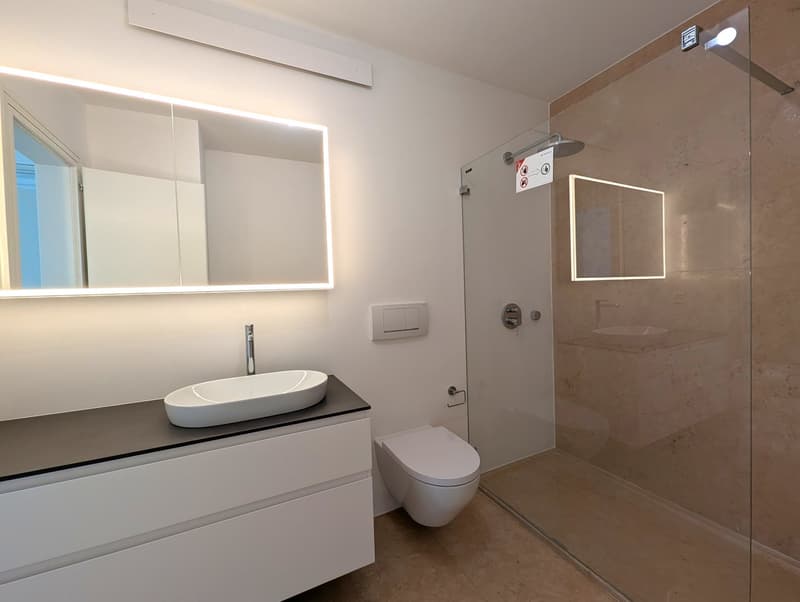 Modernes und elegantes Ferien-Penthouse am See mit Bootsliegeplatz (18)