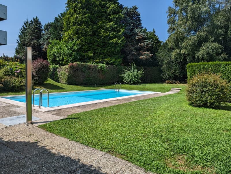 Montagnola Immerso della quiete e nel verde, stabile con piscina esterna (8)