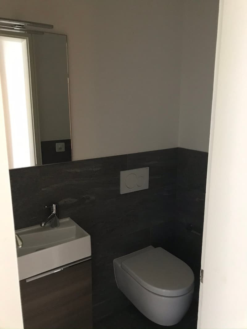 Montagnola Immerso della quiete e nel verde, stabile con piscina esterna (7)
