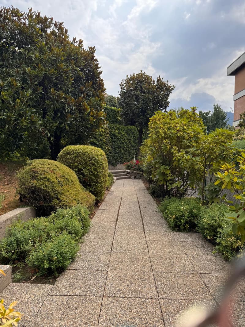 Montagnola Immerso della quiete e nel verde, stabile con piscina esterna (6)