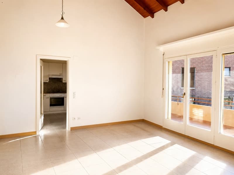 Splendido e spazioso duplex con grande terrazza (7)