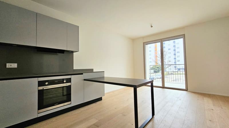 NEUE WOHNUNG AUCH ZWEITWOHNUNG (3)