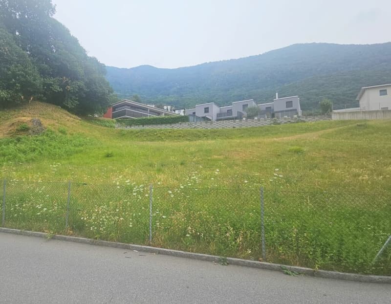 Building plot in S.Antonino (3)
