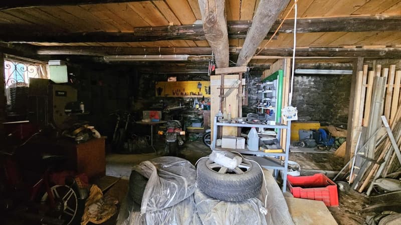 Rustic to renovate in Gnosca (5)