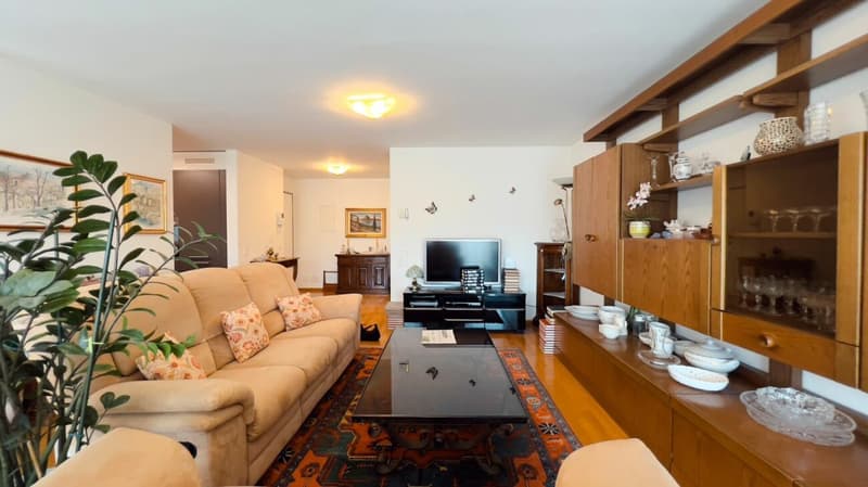 Spacious Apartment in Agno (8)