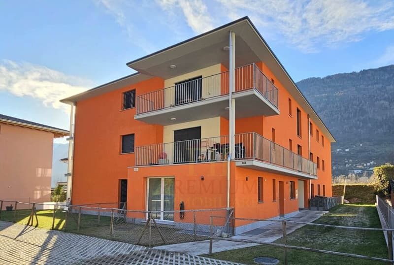 APPARTAMENTO 3.5 LOCALI CON GIARDINO (12)
