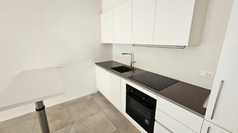 RECENTS APPARTEMENTS DE 2.5 PIÈCES À MALVAGLIA (9)