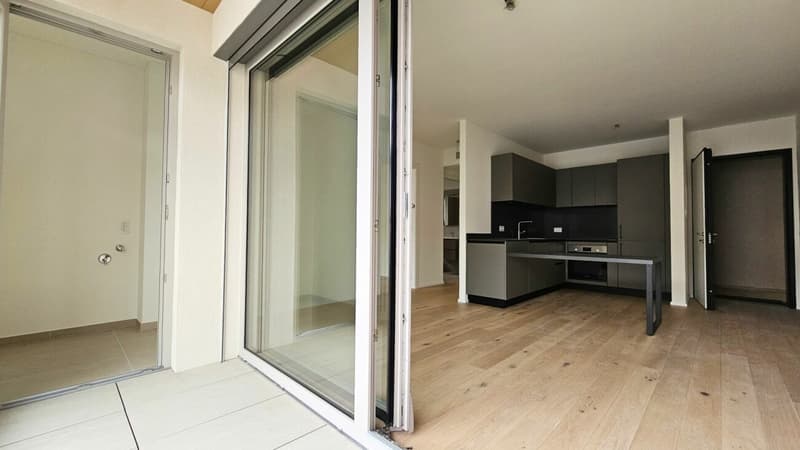NUOVO APPARTAMENTO ULTIMO PIANO A CHIASSO (9)